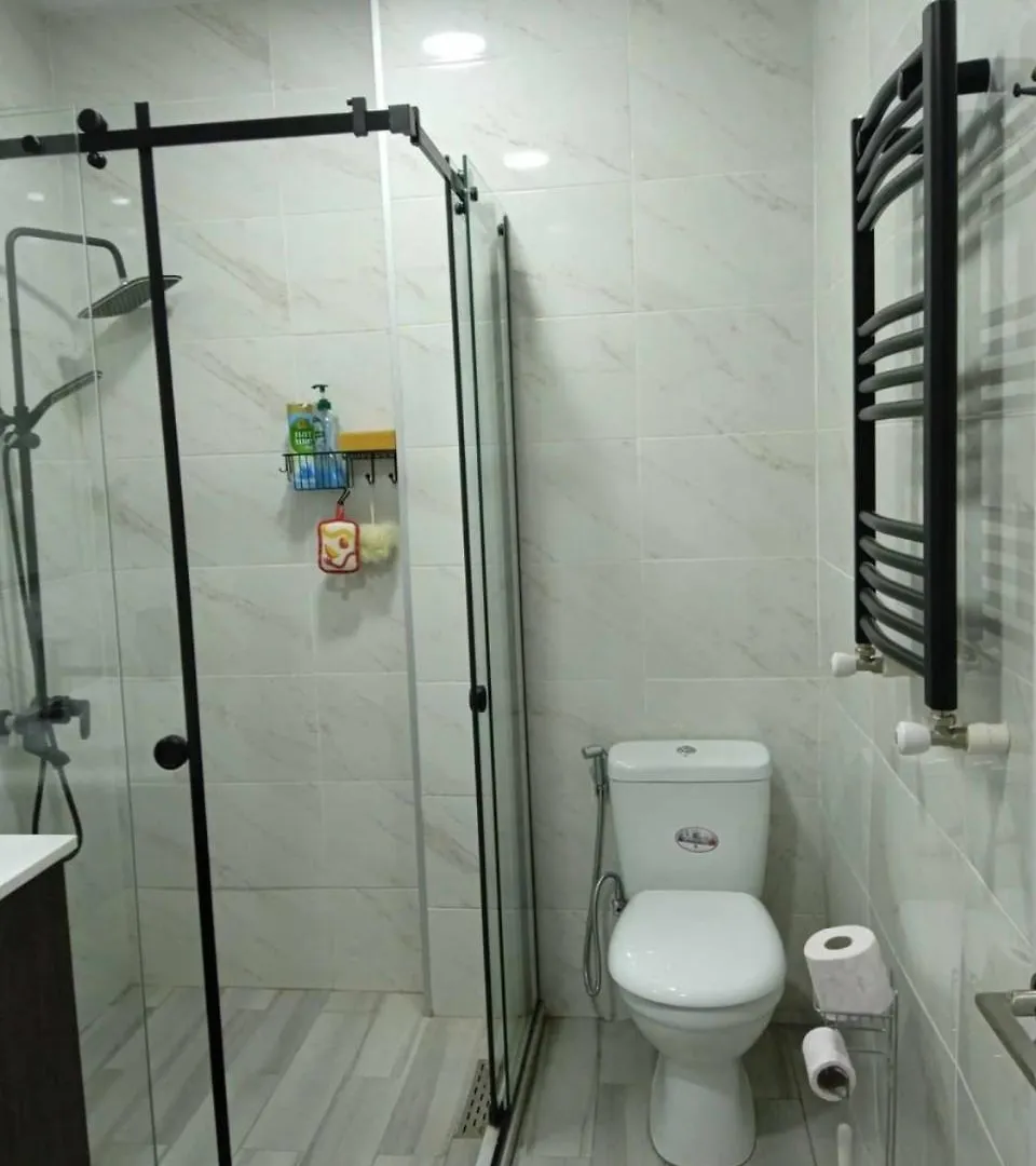 Larisa Apartment Batumi 0*,